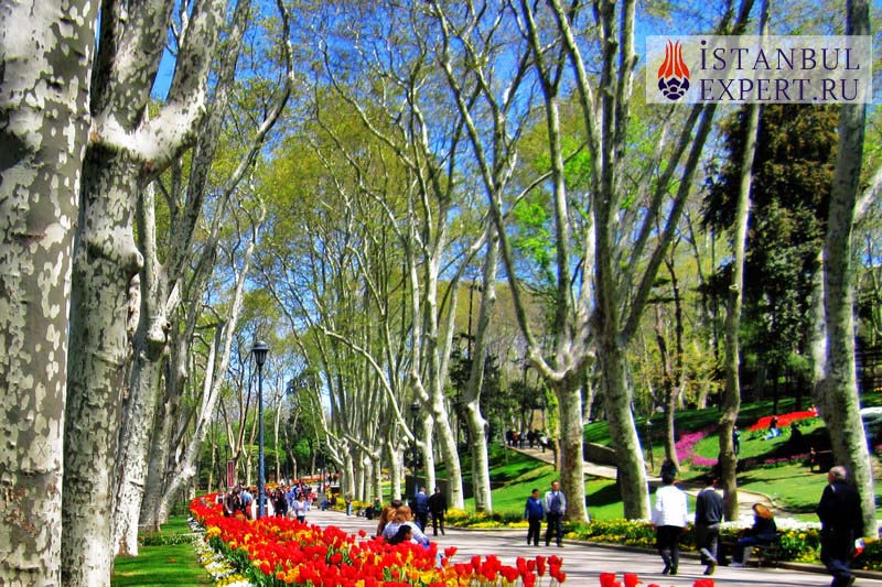 Парк Гюльханэ в Стамбуле